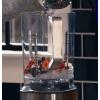 imageGE 5Speed Blender  2 16 Oz Cups  Kitchen Blender for Shakes Smoothies ampamp More  64 Oz Jar 810 Servings  Stainless Steel Blades ampamp Exterior  1000 WattsBlender with Personal Cups
