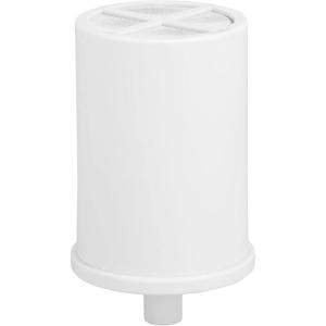 imageGE Shower Replacement Filter Removes Chlorine Fits GXSM01TBL Filtration System Replace Every 6 Months FXSCTFXSCT